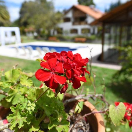فندق Quinta La Constanza تابابيلا المظهر الخارجي الصورة