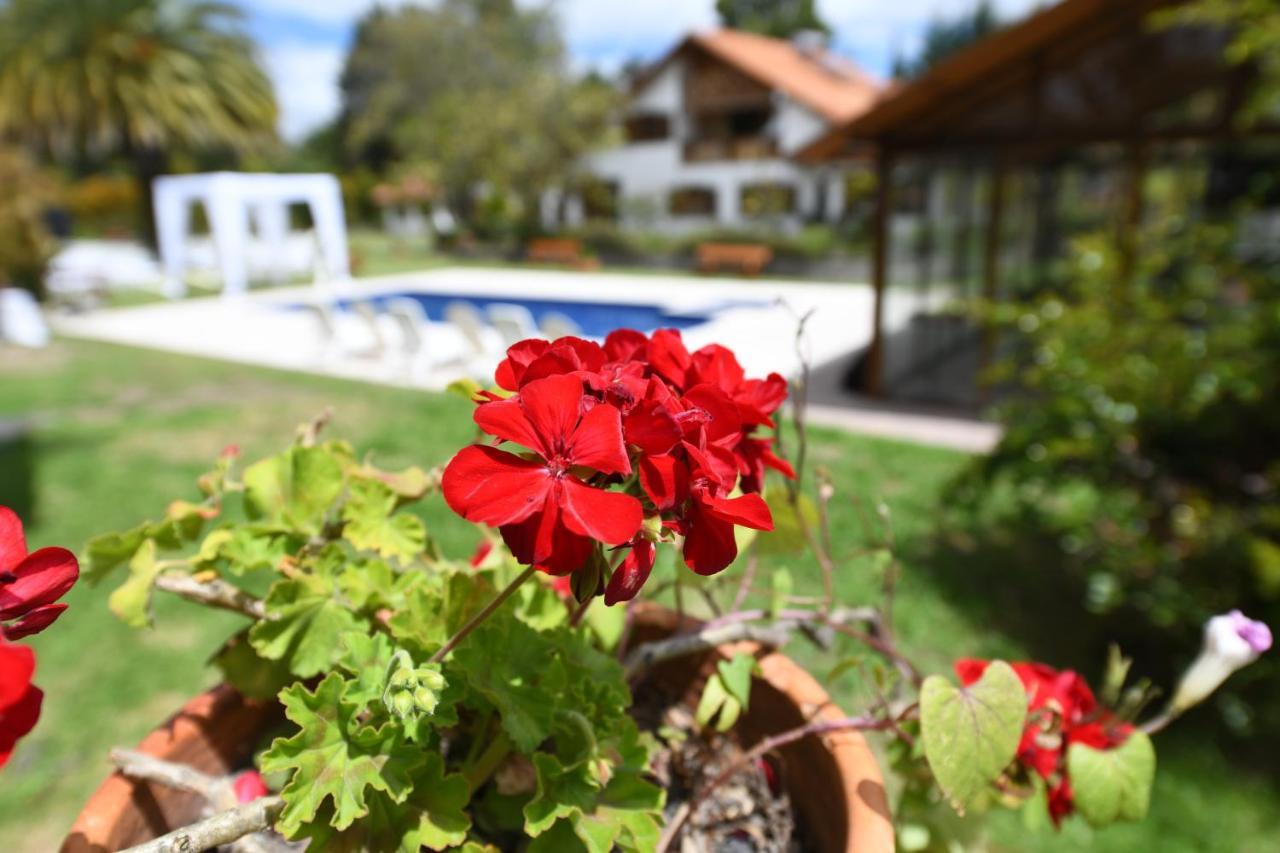 فندق Quinta La Constanza تابابيلا المظهر الخارجي الصورة