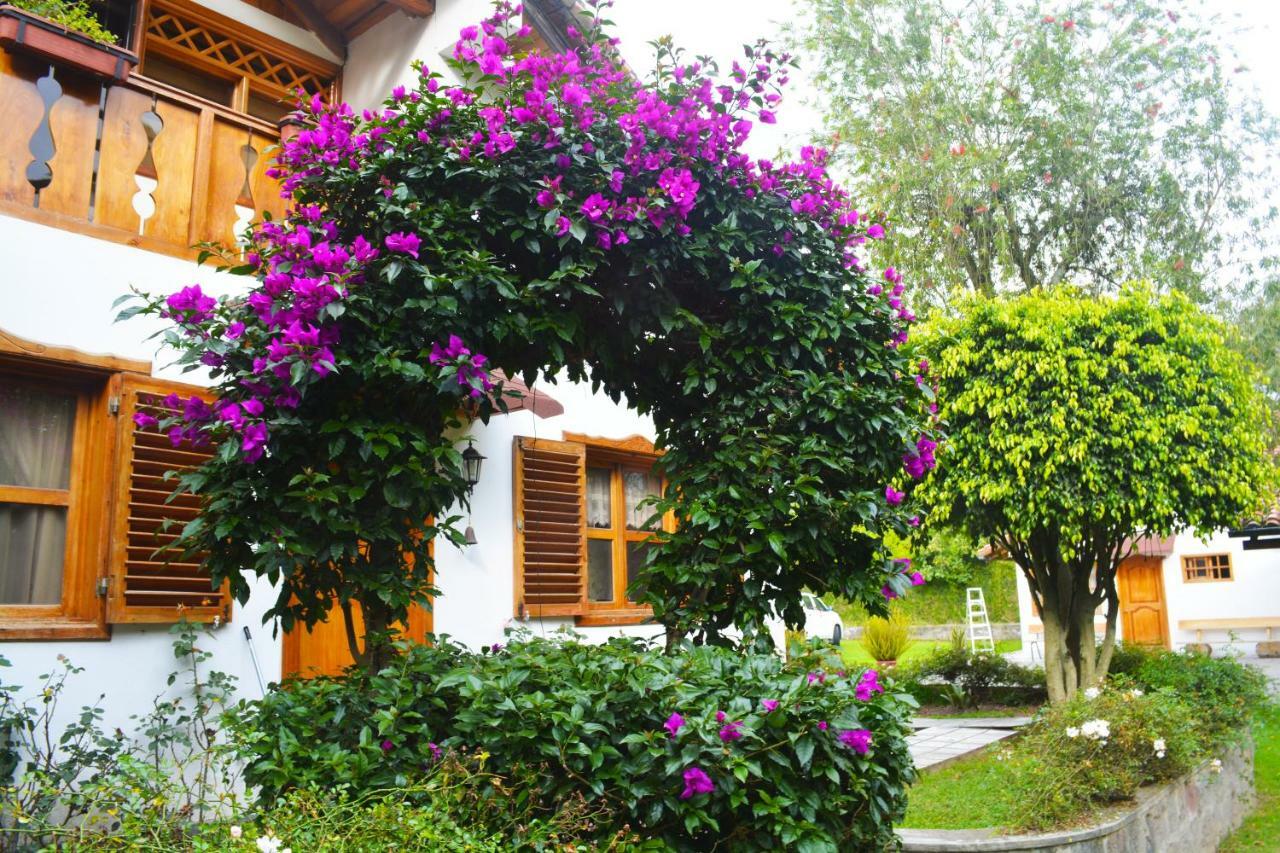 فندق Quinta La Constanza تابابيلا المظهر الخارجي الصورة
